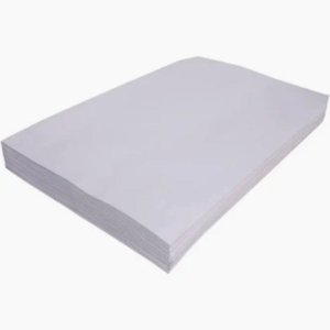 6x9 White Envelop (100)