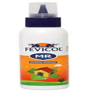 Fevicol 100g